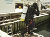 scuba diver jumping off WHOI dock in winter