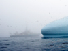 Knorr in Greenland mist