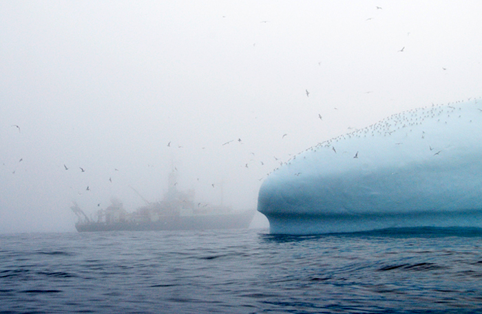Knorr in Greenland mist