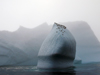 Icebergs off Greenland