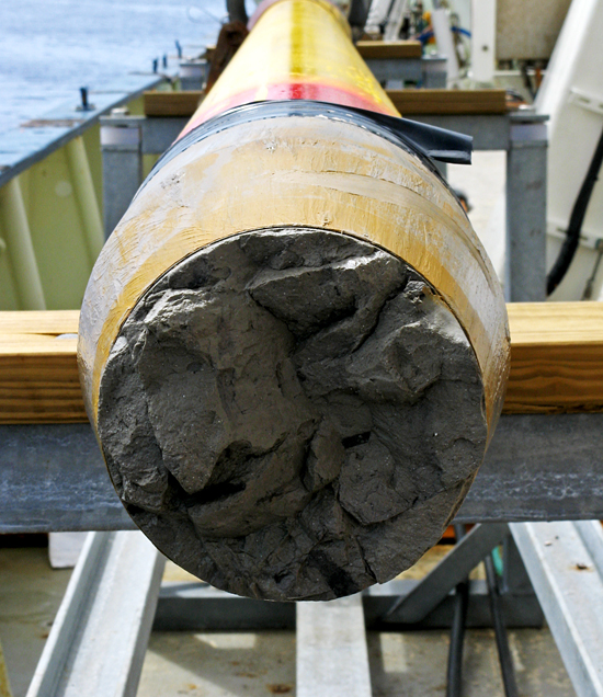 Close up view of retrieved long core sediment core.