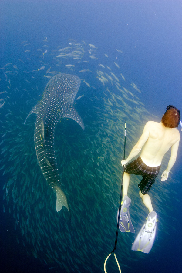 Kelton McMahon's photo