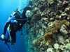 Kelton McMahon scuba diving by big coral reef