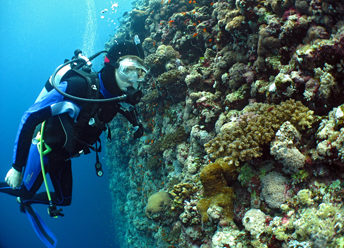 Kelton McMahon scuba diving by big coral reef