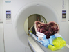 Whale head in CSI scanner