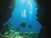 divers undewater