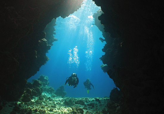 divers undewater