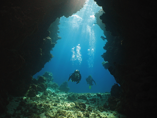 kelton mcmahon and leah houghton scuba diving