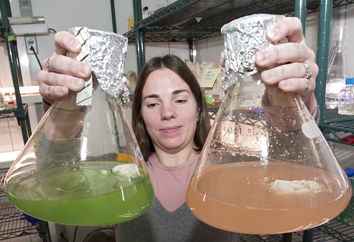 Kristen Rathjen with microbe cultures used in CF study