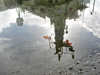 oceanus mast reflection