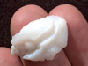 fish otolith
