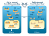 Genetic adaptation to pollution