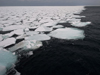 sea ice approaches