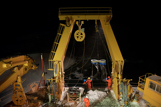 bongo nets deployment