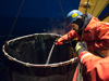 alatalo rinsing net
