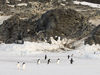 Cape Royds from the sea ice.