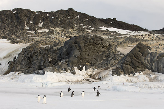 Cape Royds from the sea ice.