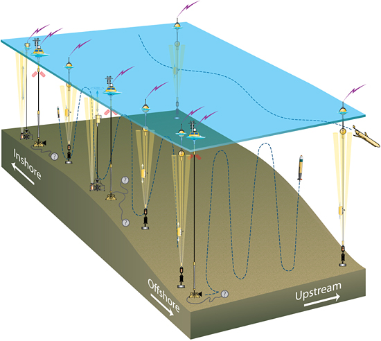 Pioneer array schematic