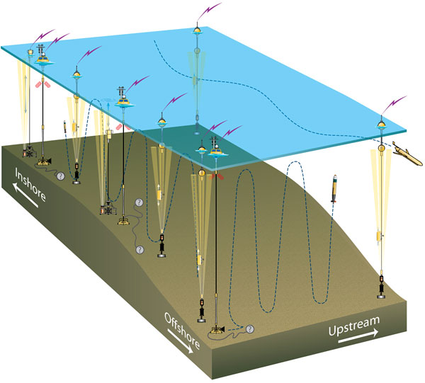 Schematic diagram of the Pioneer Array.