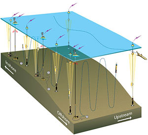 Schematic diagram of the Pioneer Array.