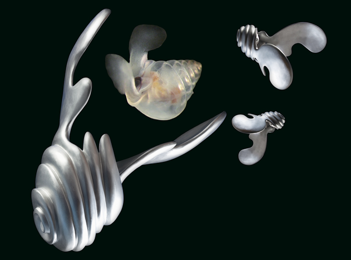 Pteropod Project