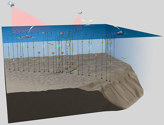 The largest oceanographic field experiment in WHOI history.