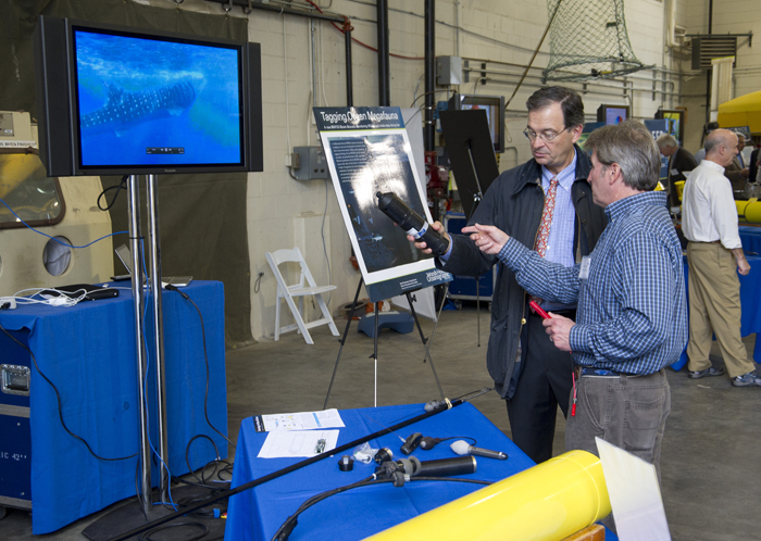 Biologist Greg Skomal of the Massachusetts Division of Marine Fisheries