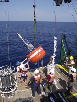 Sediment traps are used to collect sinking particles