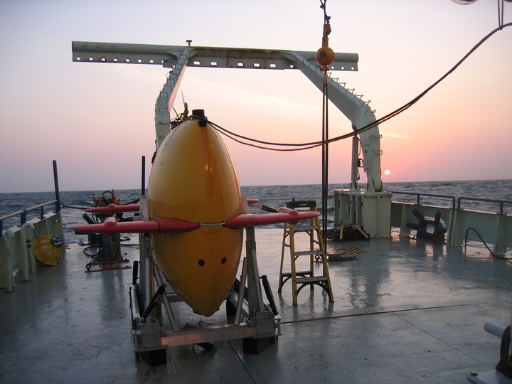 Sentry with Sunset on Oceanus