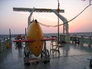 Sentry with Sunset on Oceanus