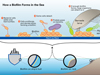 Reducing bioflims