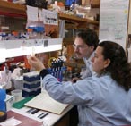 researchers at work