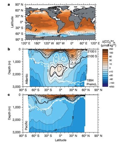 Decrease in aragonite saturation state through time.