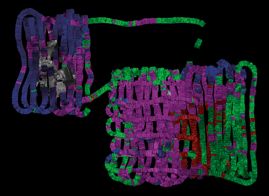 photomosaic