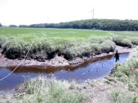 Benthic Flux Chambers in Salt Marsh