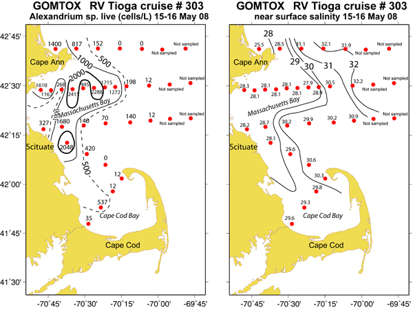 Alexandrium surface live counts (left panel), R/V Tioga May 15-16, 2008, and near surface salinity (right panel) 