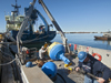 Hydrophone buoy