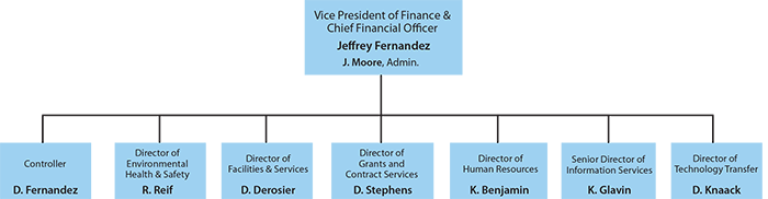 Cfo Org Chart