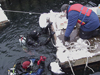 Michael Holcomb, Byron Pedler, and Ben Van Mooy recovering experimental plates under the WHOI pier.