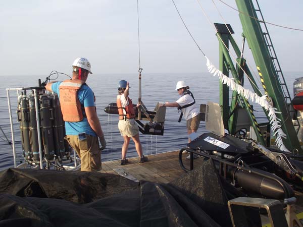 A variety of tools are used to sample the biological community