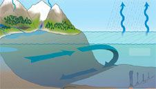 Water Cycle