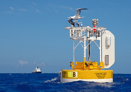 The WHOTS III buoy off Hawaii with the R/V Revelle in background.