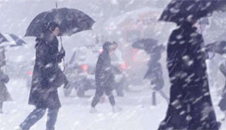 Abrupt Climate Change