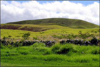 grassy foothills of the now dormant Mauna Kea Volcano