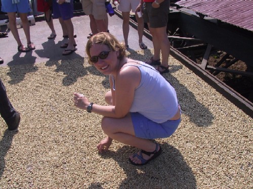 Anna Michel gets a closer look at coffee beans being dried in the sun near Captain Cook, HI.