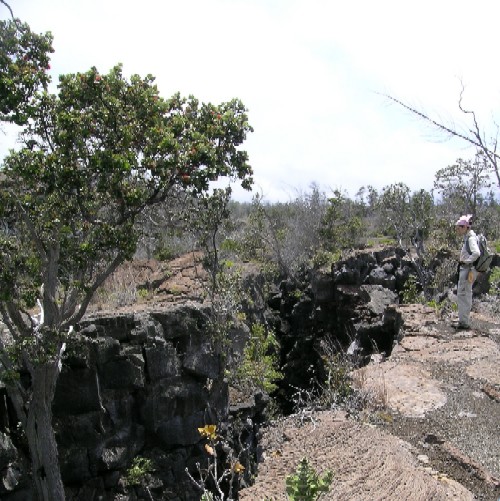 This fissure in the Kau Desert, west of Kilauea?s summit illustrates the deformation that is occurring within the volcano. The South flank of Kilauea is slowly sliding towards the sea.