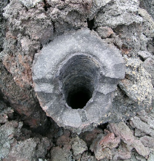 Tree molds are hollow because the lava burns the tree, but the surrounding lava has already cooled and solidified against the trunk.