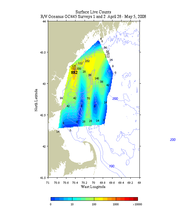 Alexandrium surface live counts. R/V Oceanus April 28 - May 5, 2008 
