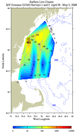 Alexandrium surface live counts. R/V Oceanus April 28 - May 5, 2008 