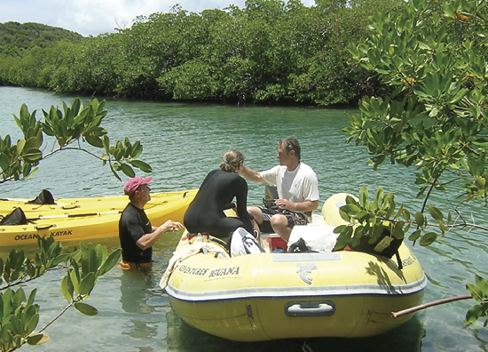 Researchers traveled to the U.S. Virgin Islands to collect seaweed that host algae that cause ciguatera fish poisoning.
